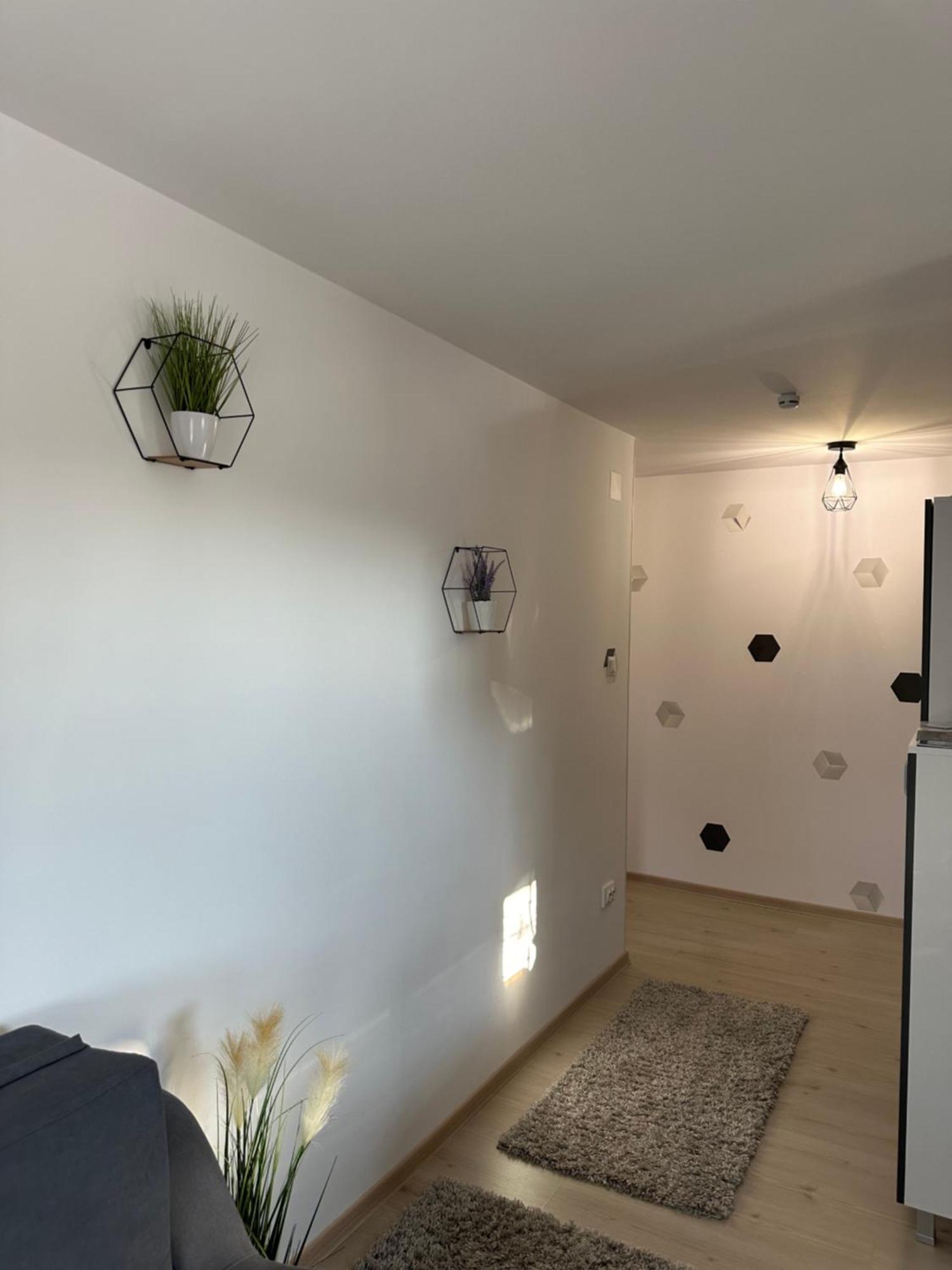 Jokai Apartments Nr7, Code Entry Sfântu-Gheorghe Exterior foto